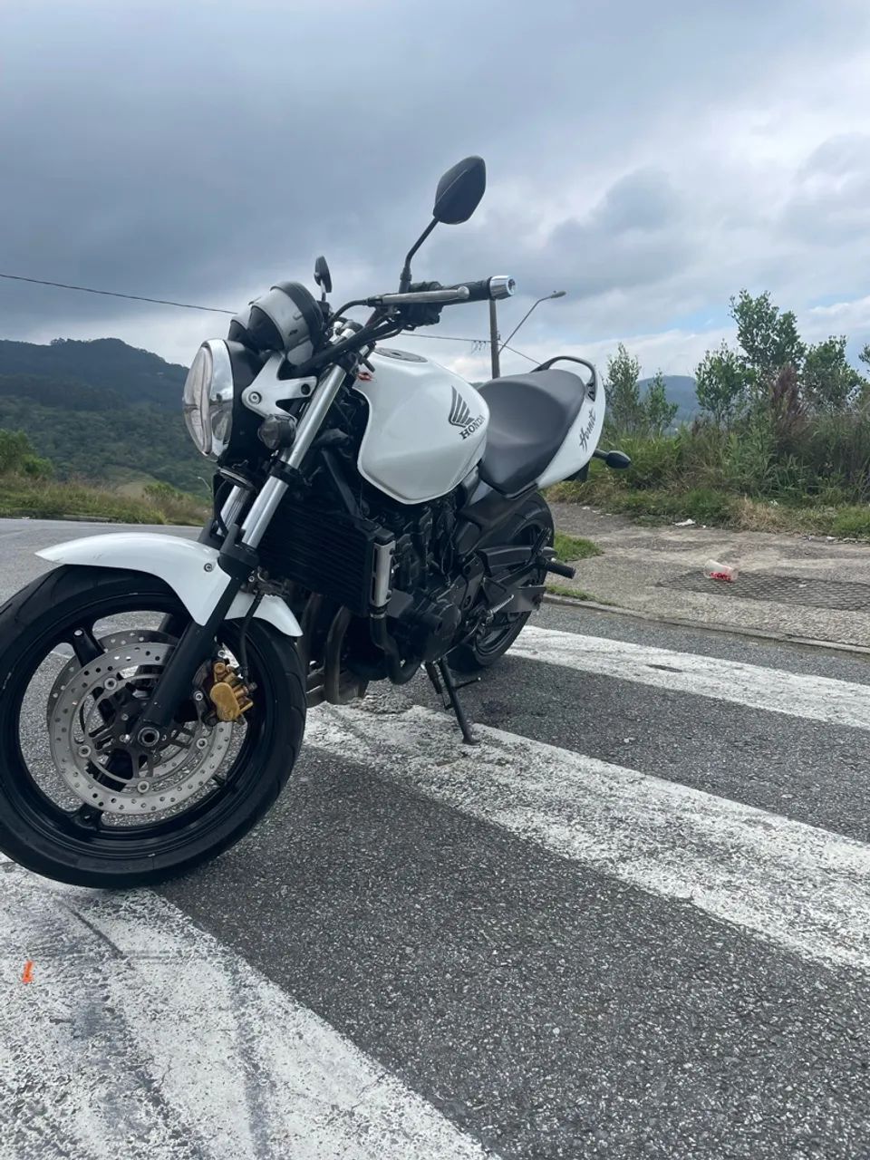 Hornet branca  - Foto 2