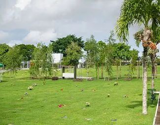 JAZIGO NO PARQUE DAS FLORES 1 - Foto 2