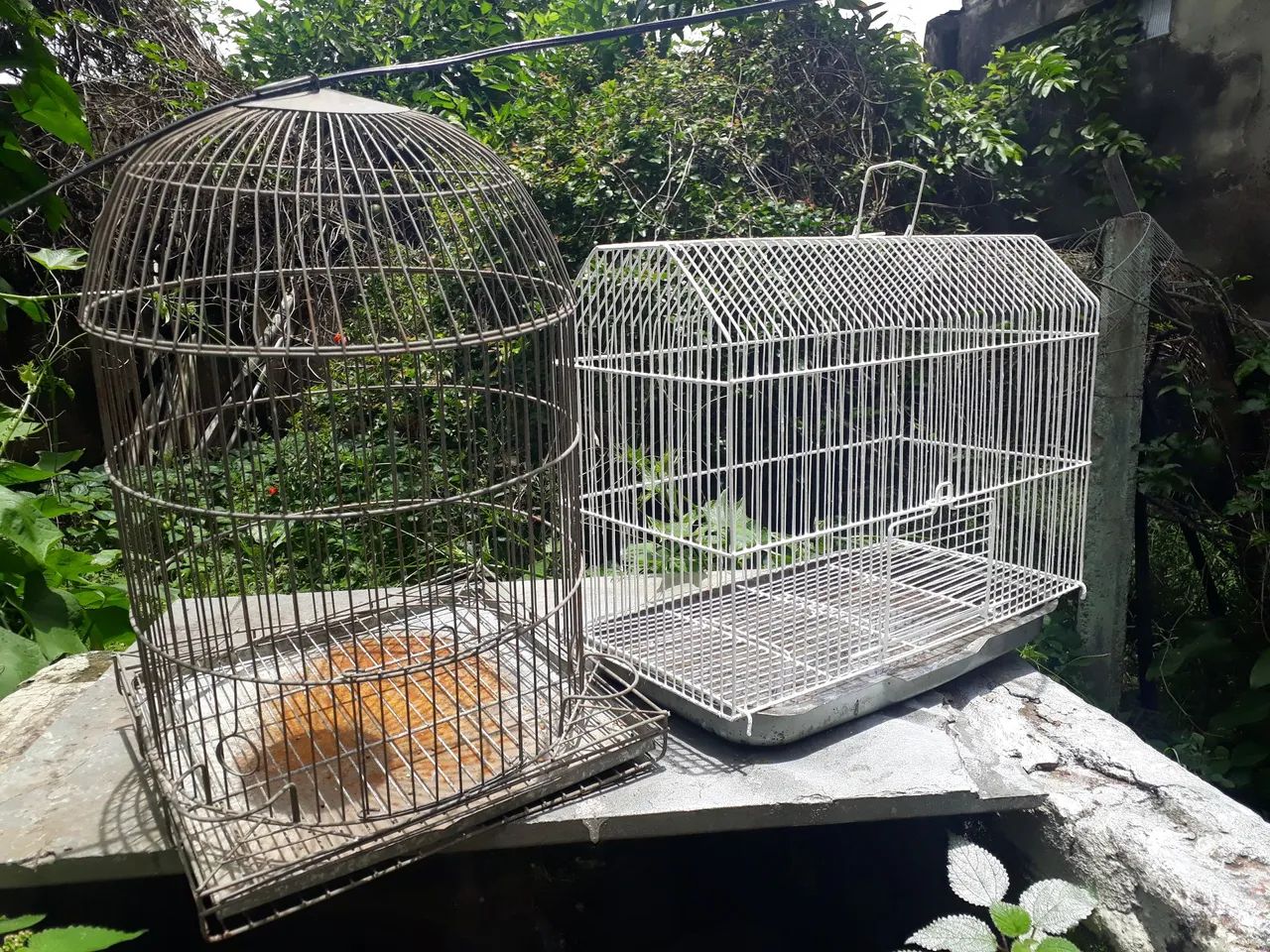 Vendo duas lindas gaiolas. Baratas - Foto 3