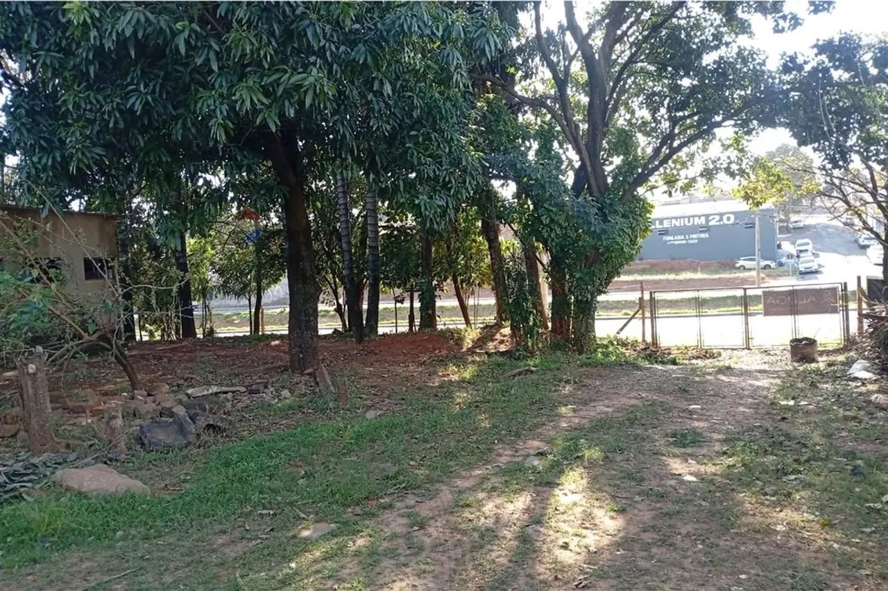 Amplo Galpão Comercial p/ Locação em SP - Foto 3