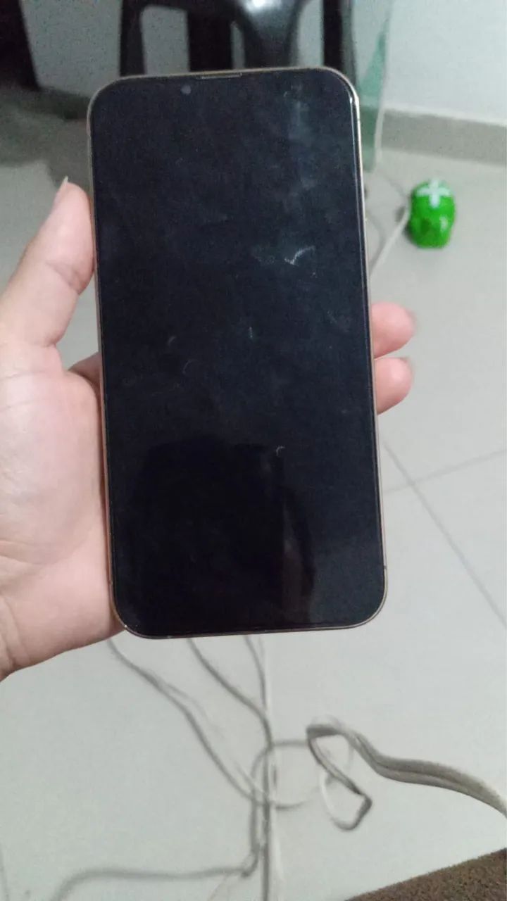 iPhone 13pro Max
