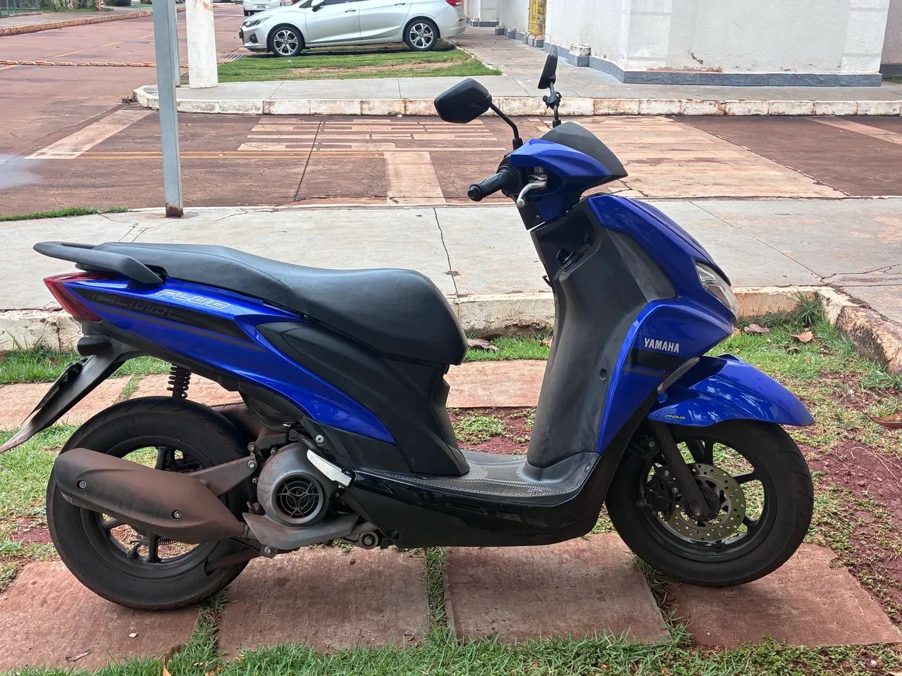 fluo 2022/2023 - Foto 2