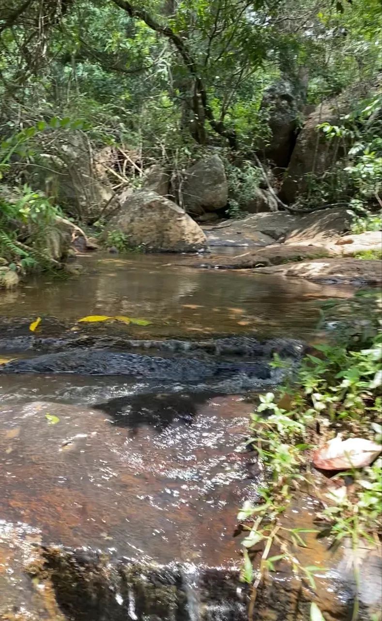 CHÁCARAS A VENDA EM CLÁUDIO-MG - Foto 5