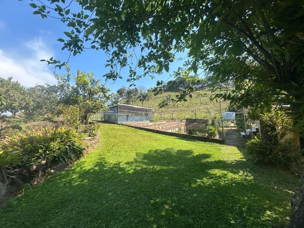 Vendo sítio em Loreto, com 5.000 m2 de área.  - Foto 3