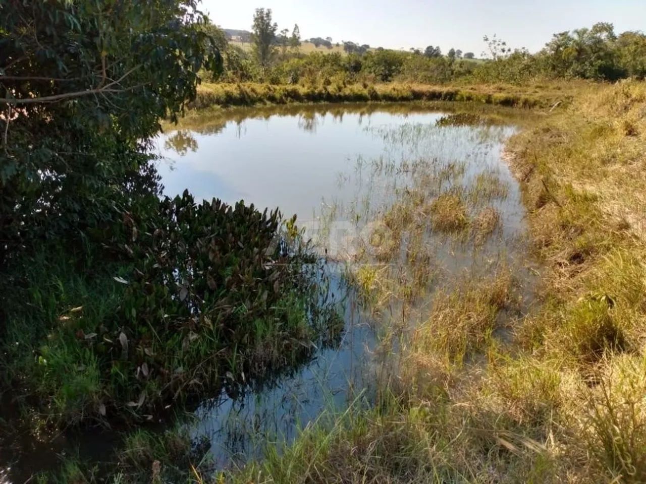 Sítio para venda com 100430 m² e 3 quartos em Jacuba, Arealva - SP - Foto 4