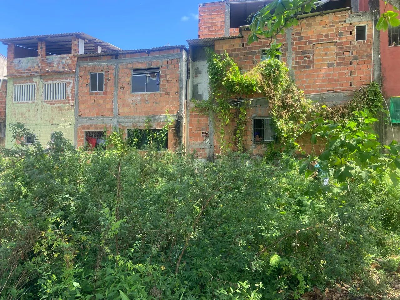 Limpeza de Terrenos, Capinação e Roçagem - Orçamento Grátis - Foto 2