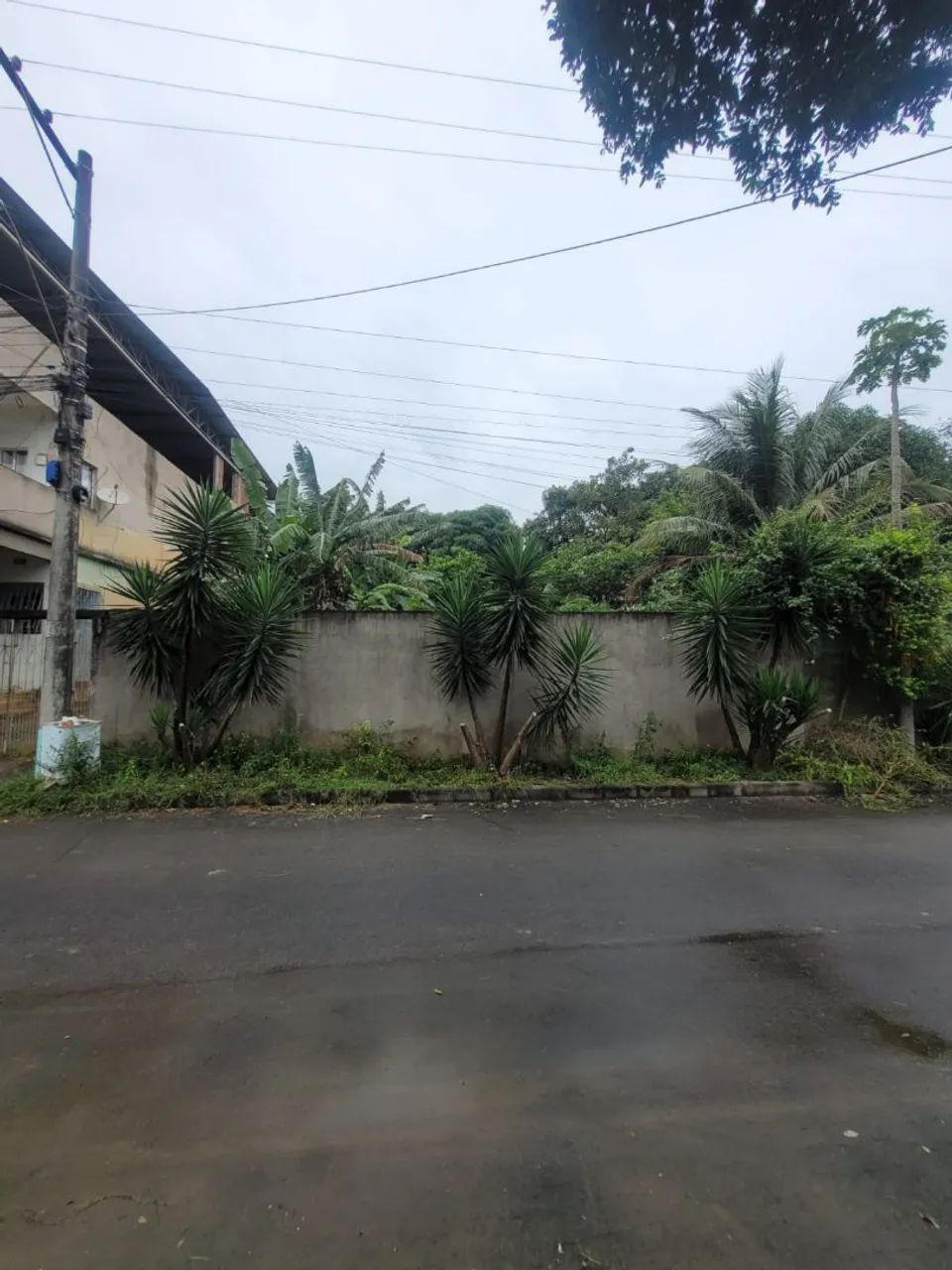 Lote Novo Brasil 
