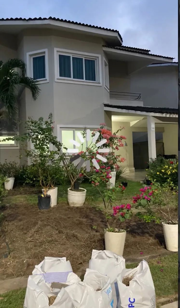 Jardineiro/paisagismo