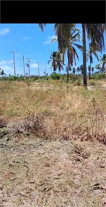 Terreno 200m² - Centro - Foto 3