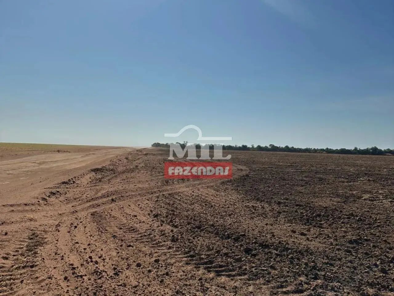 Fazenda 2.618 hectares Bom Jesus - PI - Foto 5