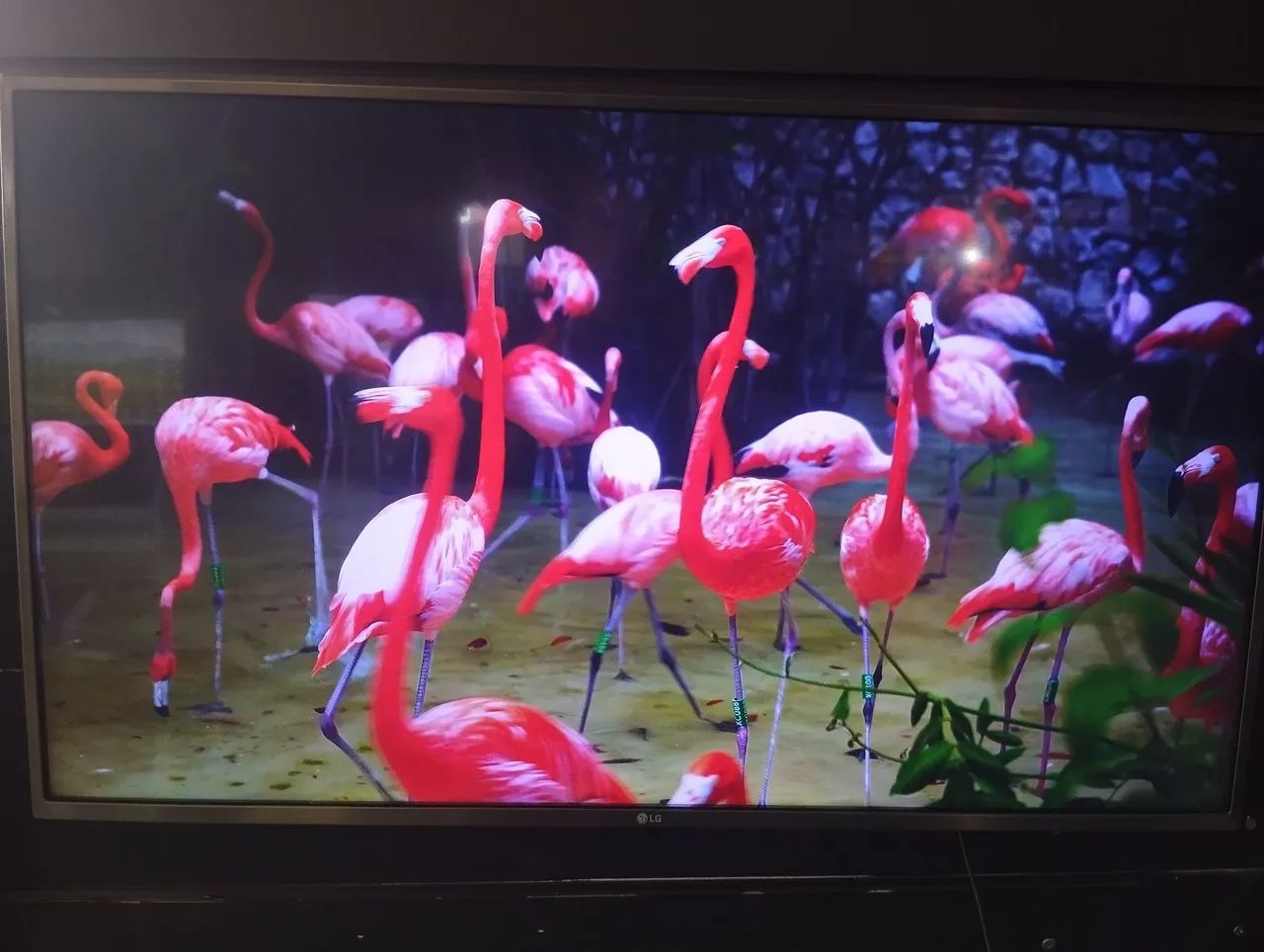 Tv LG 43 POLEGADAS SMART 4K  - Foto 4