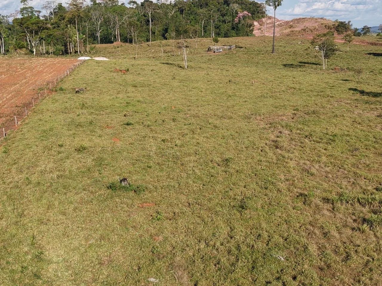 VENDE-SE CHÁCARA  - Foto 4