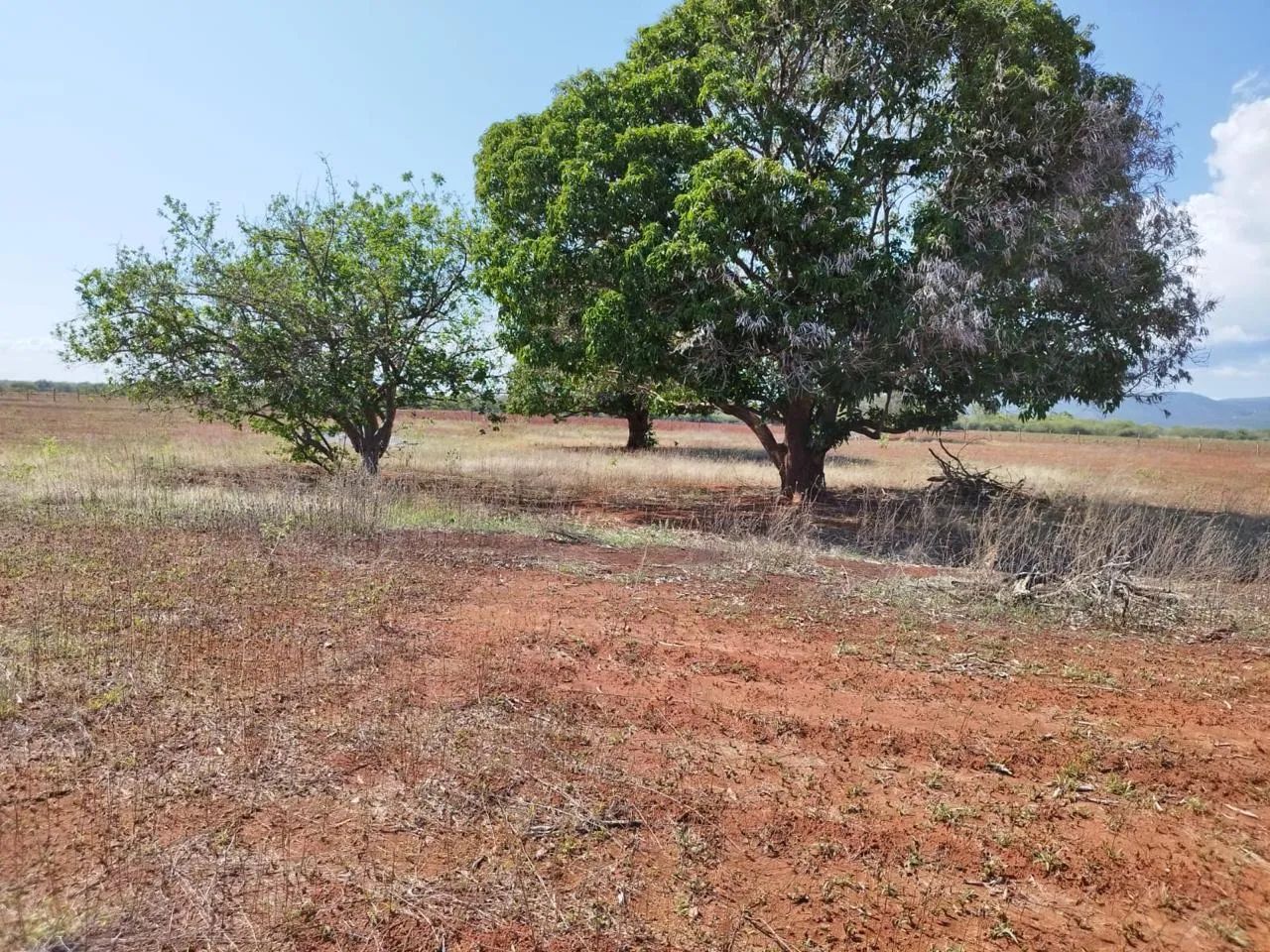 Ro ça em Boca d?água de Uibai - Foto 2