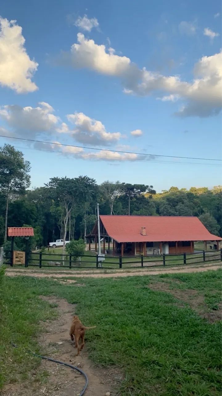 Foto - Mandirituba - Areia Branca dos Assis