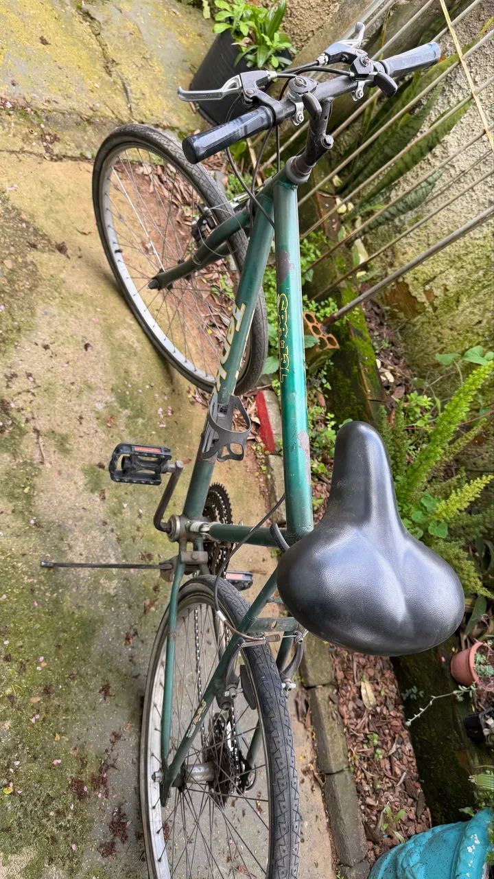Bicicleta Tenko - Foto 2