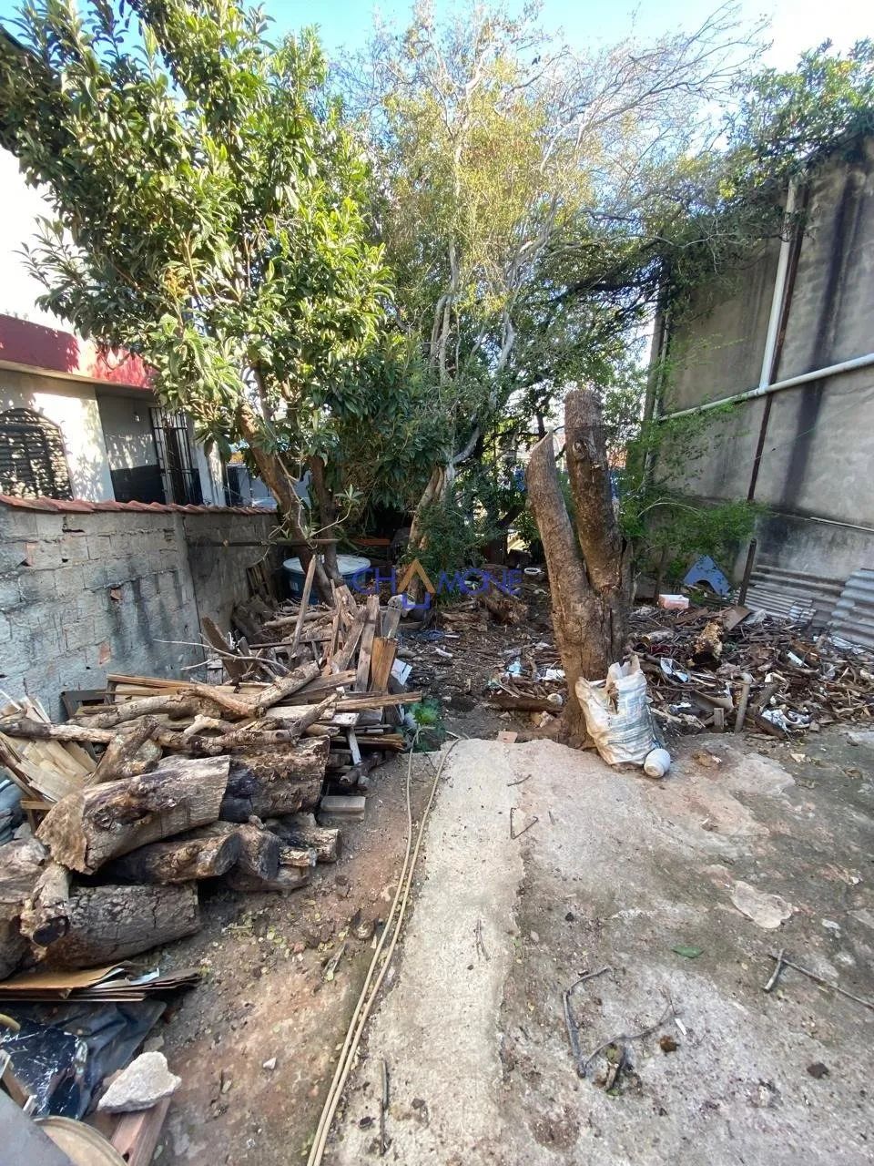 Oportunidade na Av. Abilio Machado - Foto 5
