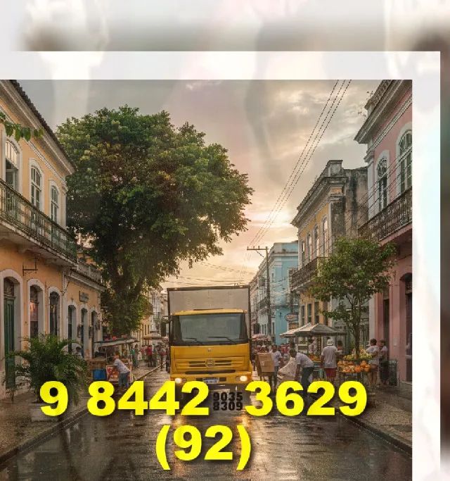 Frete bau/Mudança: motorista experiente