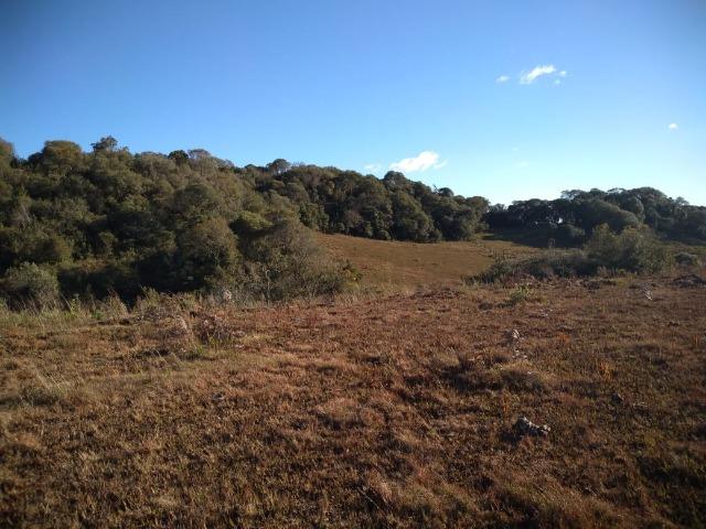 Belíssima área de campo para sitio de lazer com 30000 m² - Foto 7