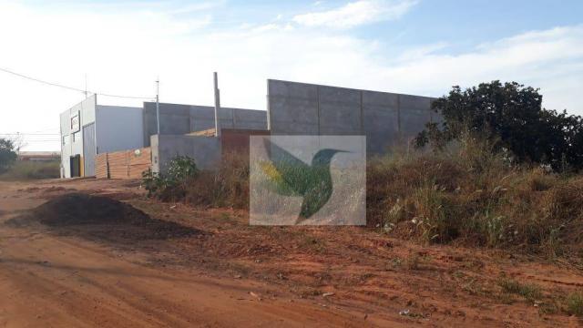 Terreno à venda, 1125 m² por r$ 355.000 - jardim belo horizonte - Foto 6