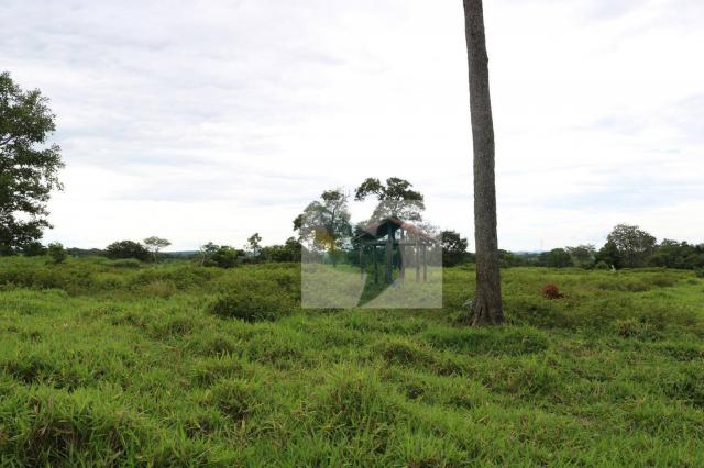 Chácara à venda, 127340 m² por r$ 249.500 - zona rural - rondonópolis/mato grosso - Foto 3
