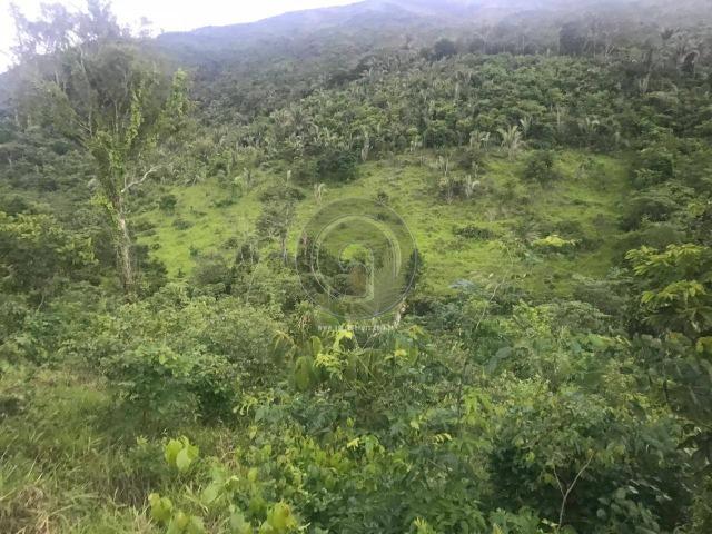 Sitio na região de santo antonio - Foto 11