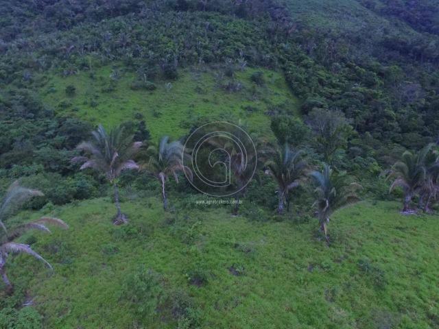Sitio na região de santo antonio - Foto 4