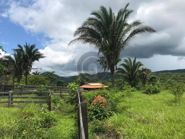 Sitio na região de santo antonio - Foto 9