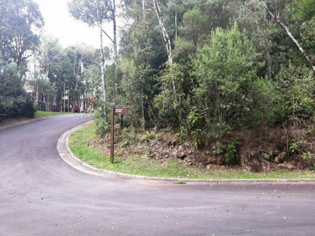 Terreno - Bairro Centro - Foto 4