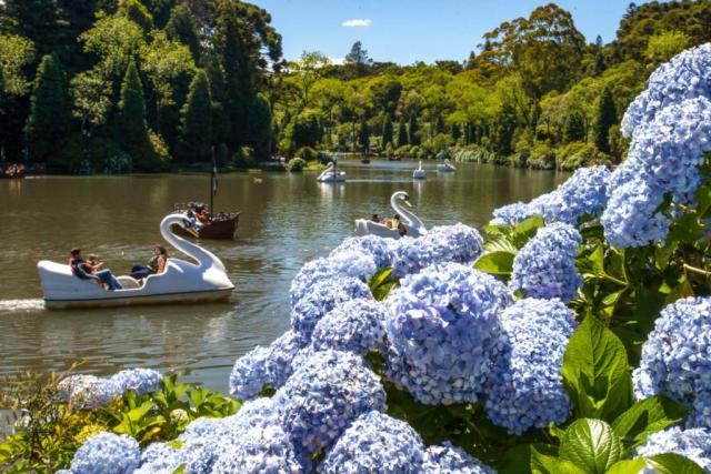 Casa à venda com 3 dormitórios em Piratini, Gramado cod:NI05477 - Foto 14