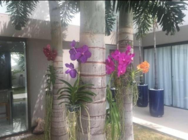 Casa em Alphaville 2 com 7/4 e 1140m² - Foto 6