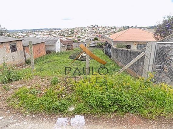Terreno para alugar em Paloma, Colombo cod:31029001