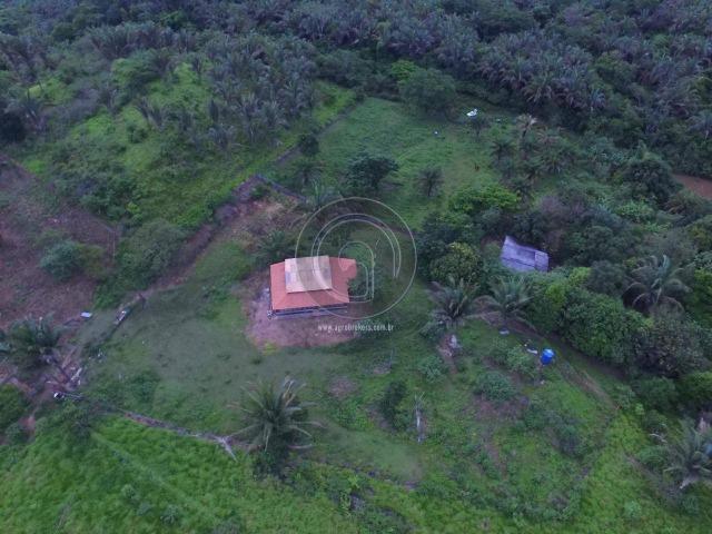 Sitio na região de santo antonio - Foto 2