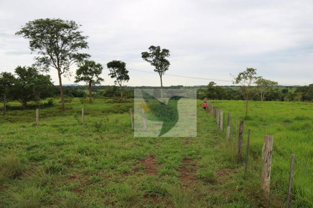 Chácara à venda, 127340 m² por r$ 249.500 - zona rural - rondonópolis/mato grosso - Foto 5