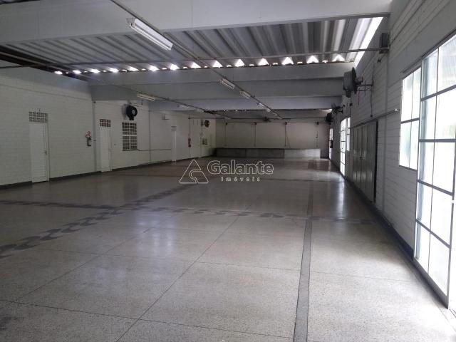 Apartamento à venda com 3 dormitórios em Jardim pacaembu, Campinas cod:AP004838 - Foto 15