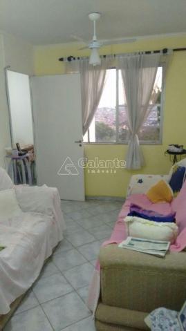 Apartamento à venda com 3 dormitórios em Jardim pacaembu, Campinas cod:AP004838 - Foto 9