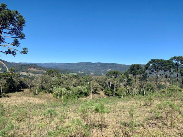 Terrenos, sítios e fazendas - Urubici, SC - Foto 3