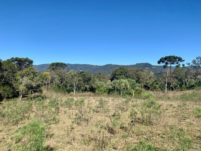 Terrenos, sítios e fazendas - Urubici, SC - Foto 4