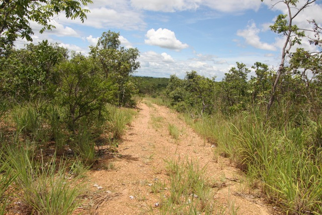 Terreno de 32 hectares em Curvelo - Foto 8