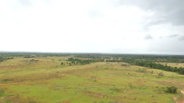 1.500 hectares a 6.700 reais por hectare toda documentada no Pará
