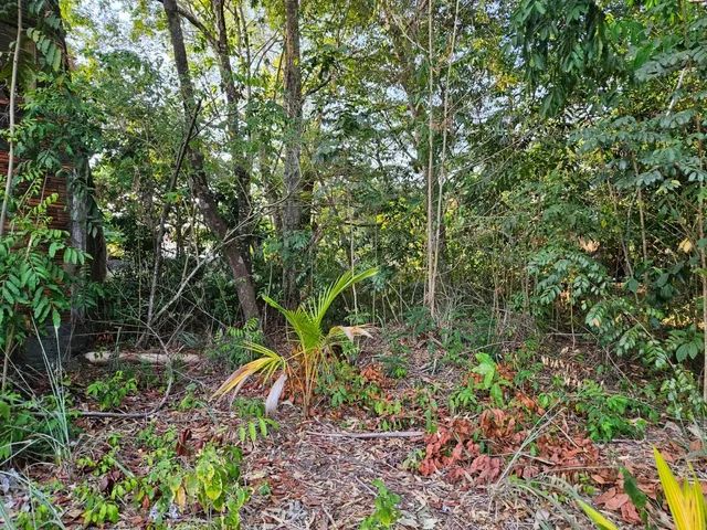 Lote A VENDA ao lado do Garden shopping. - Foto 2