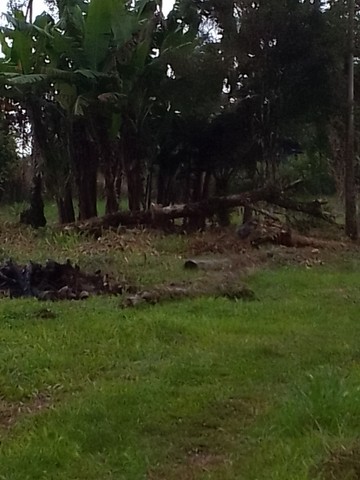 Sítios e chácaras à venda - Jardim da Saúde, SP