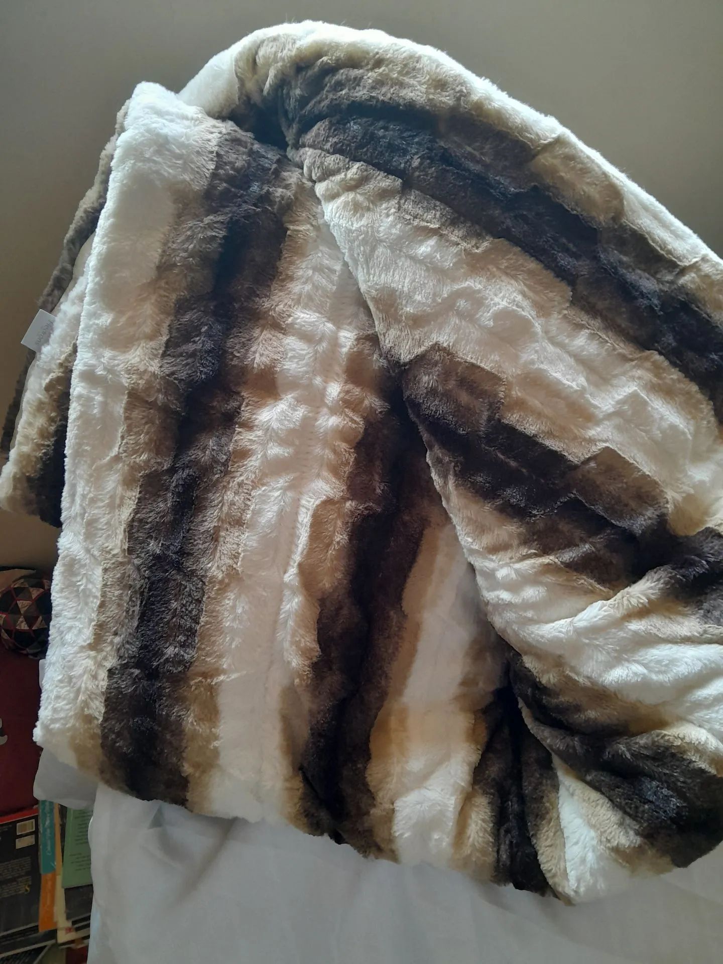 Cobertor Pele Macio e Aconchegante - Foto 2