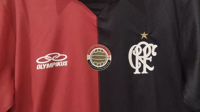 Camisa flamengo papagaio vintém 2024 olympikus