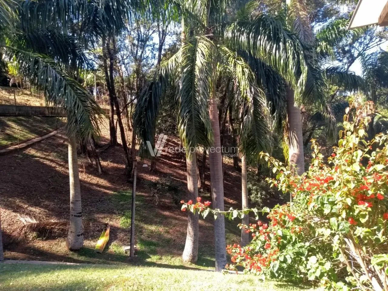 chácara - Morro das Pedras - Valinhos - Foto 4