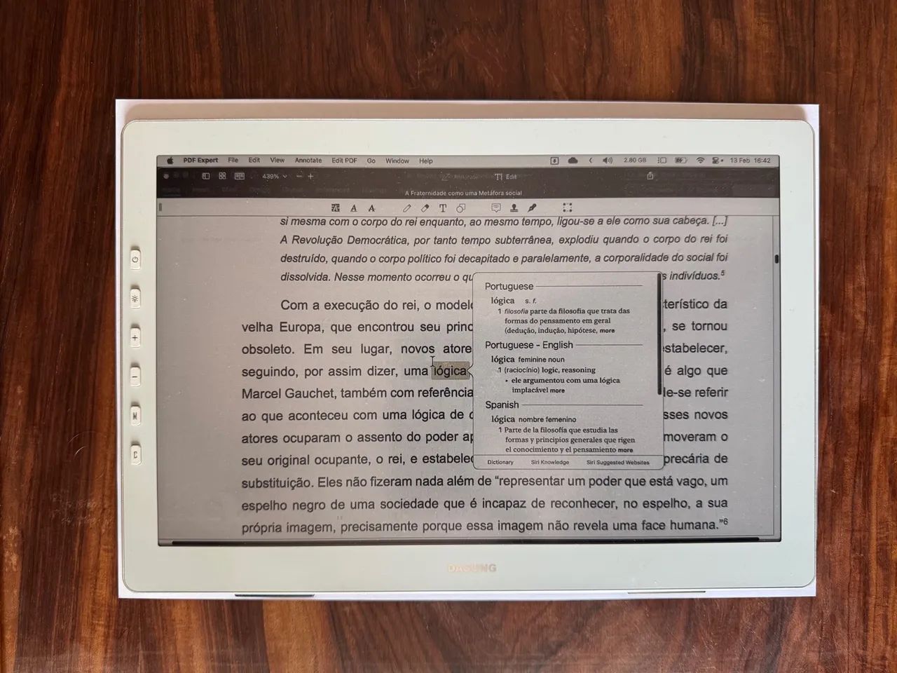 Monitor Dasung Paperlike Color 12? EINK - Foto 5
