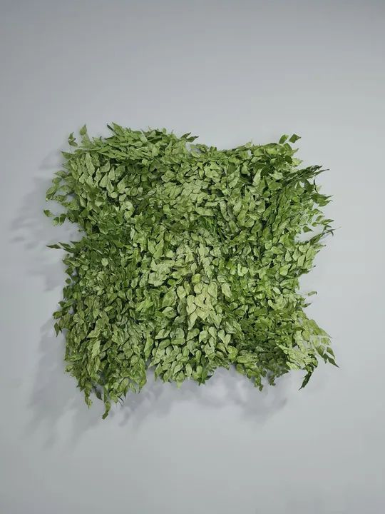 Jardim vertical preservado - M² planta preservada 