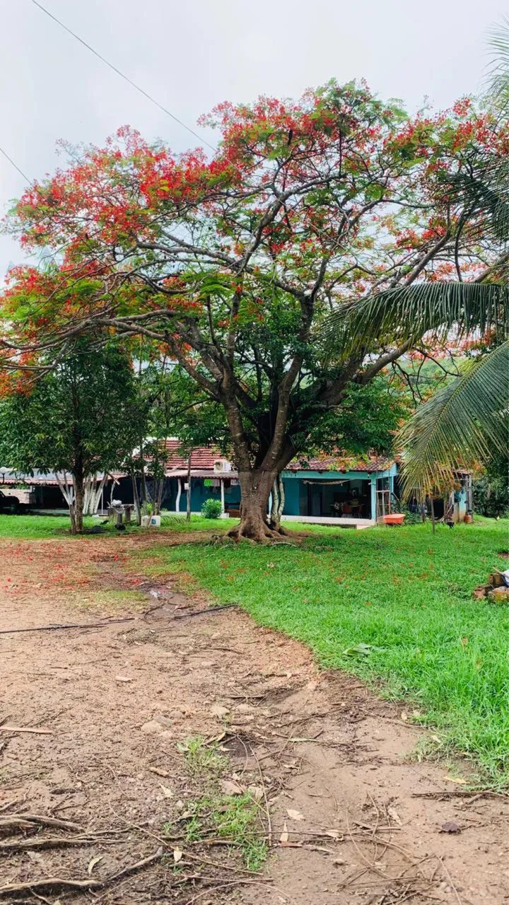 Fazenda a venda no município de URUAÇU Goiás  - Foto 2