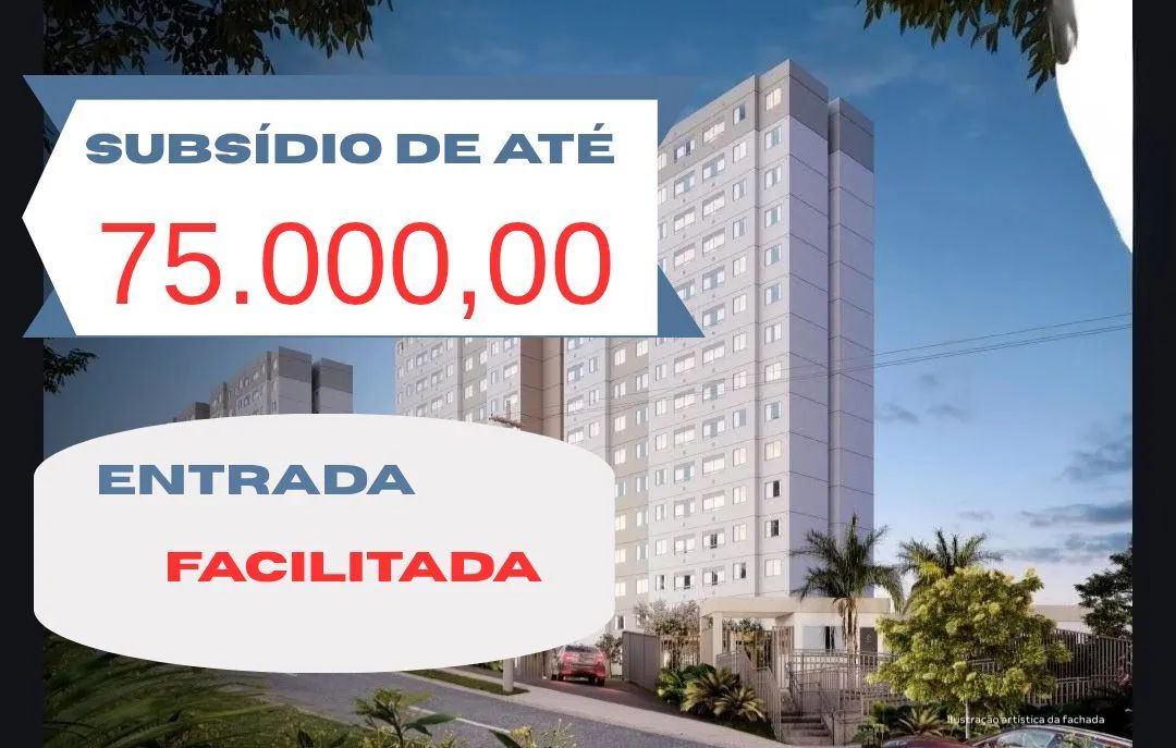 Foto - Recife - Passarinho