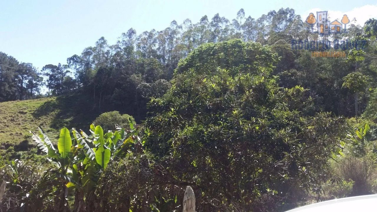 Terreno à venda, 226664 m² - Corrego Dantas - Nova Friburgo/RJ - Foto 2