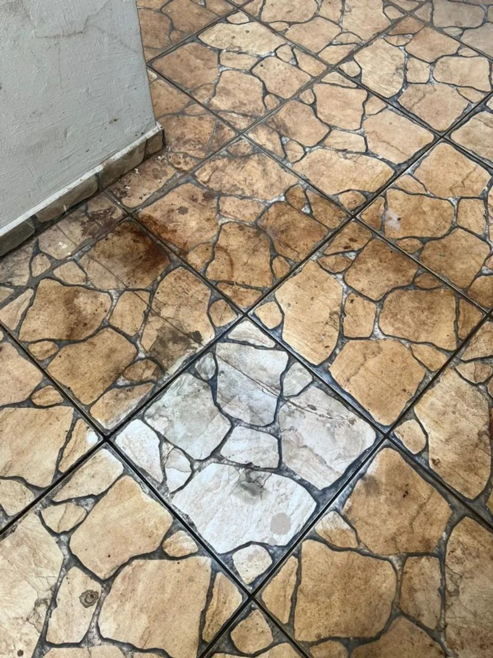 Limpa Piso Araucária.